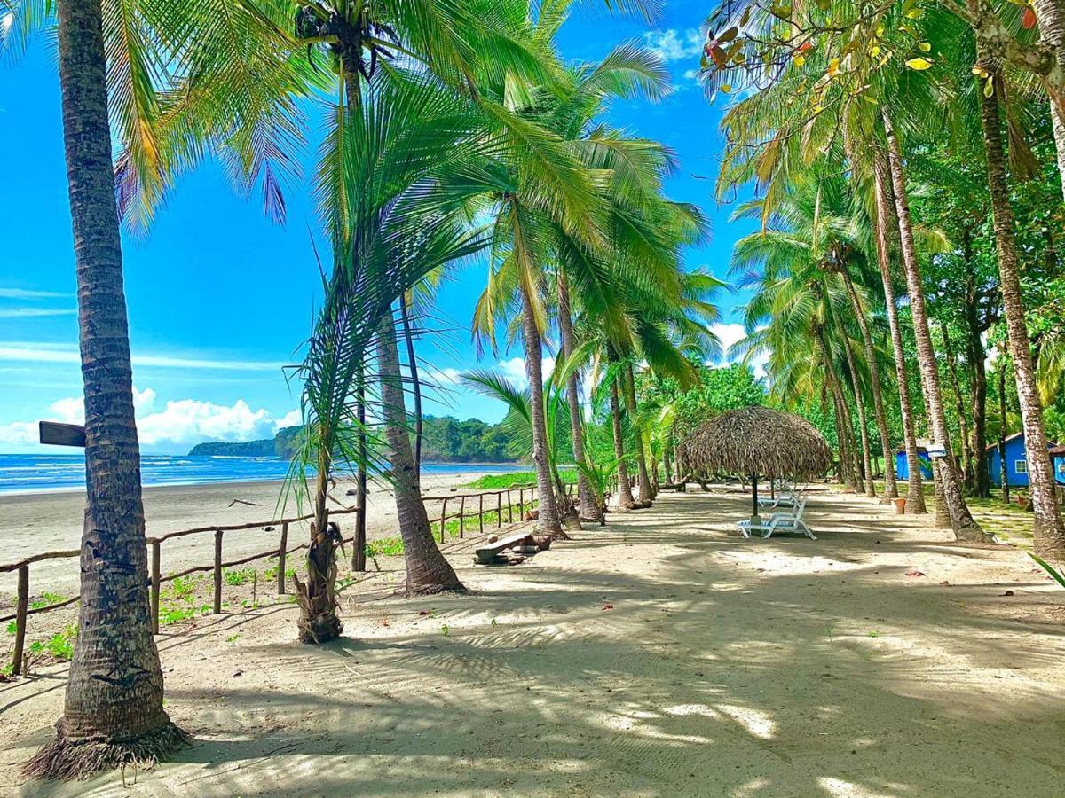 Hotel Oasis & Surf Camp Santa Catalina Extérieur photo